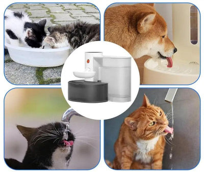 Wireless Pet Water Fountain 3L Ultra Quiet Automatic Hydration
