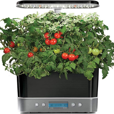 Indoor Hydroponic Garden System For Efficient Home Plant Growing