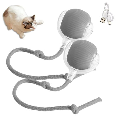 Interactive Auto Rolling Cat Toy USB Rechargeable Play Ball For Cats