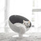 Rotating Cat Bed Cozy 360-Degree Comfortable Cat Bowl Lounge