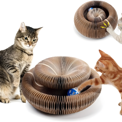 Interactive Cat Toy For Engaging Indoor Play And Exercise