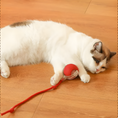 Interactive Cat Ball Toy For Active Play And Exercise