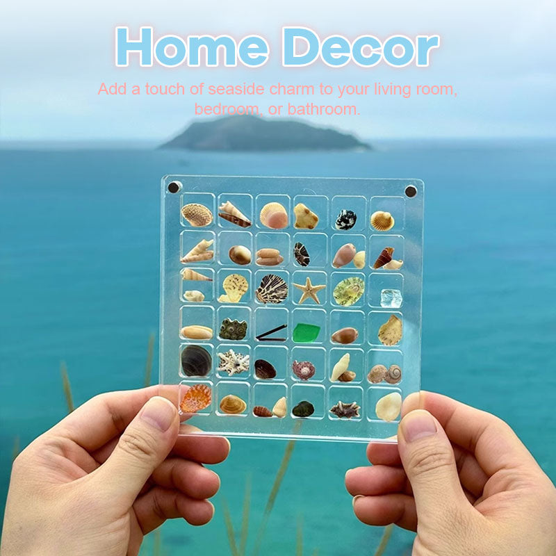 Acrylic Seashell Display Box With Magnetic Closure For Collections