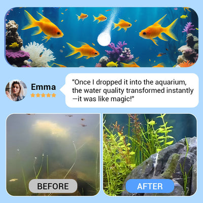 Aquarium Water Purification Tablet For Clear Healthy Tank Water