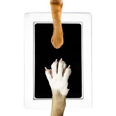Pet Paw Print Kit Memory Keepsake For Dogs And Cats