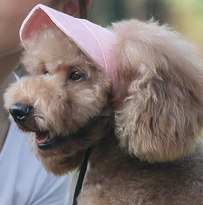 Outdoor Sun Protection Hood For Dogs Lightweight Breathable Pet Gear
