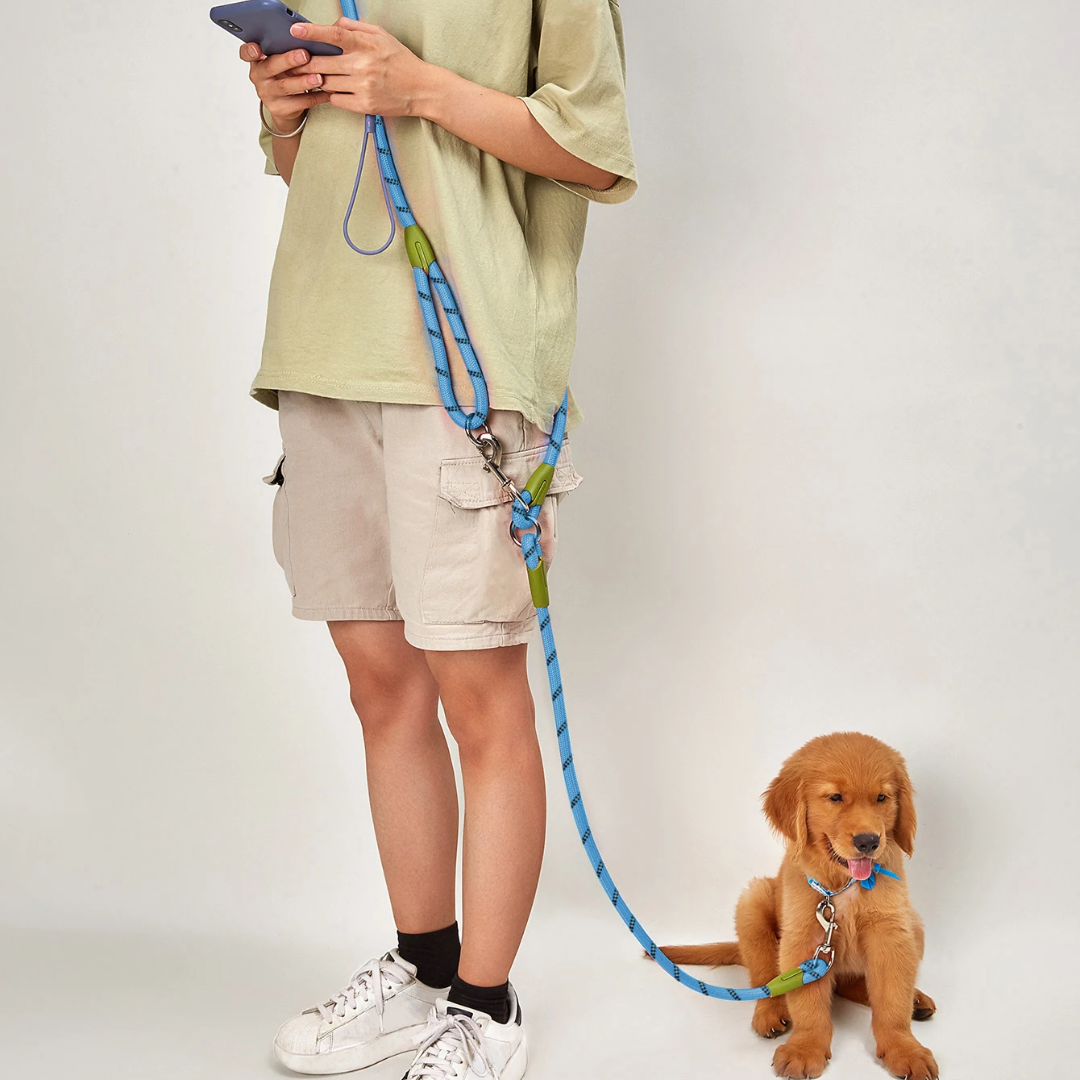 Adjustable Hands-Free Dog Leash For Running And Walking Comfort