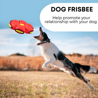Dog Frisbee Durable Outdoor Fetch Toy For Active Dogs