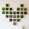 3D Plant Wall Art Artificial Maintenance Free Table And Wall Decor