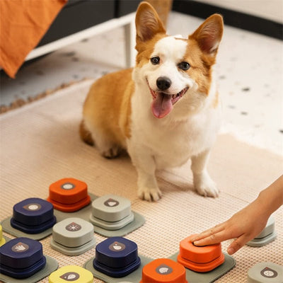 Pet Communication Toy Interactive Bell Ringer For Dogs And Cats