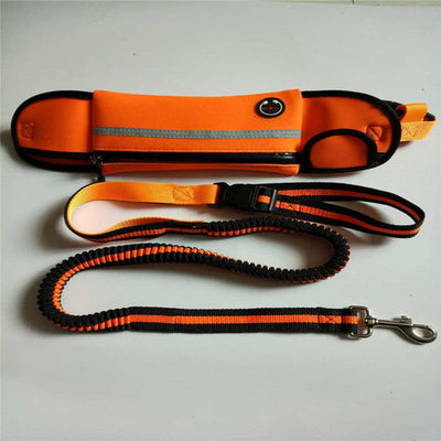 Dog Walking Waist Bag For Hands Free Outdoor Sports