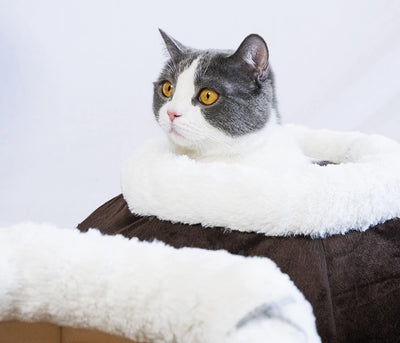 Cat Cave Bed Plush Soft Round Cozy Pet Tent For Cats