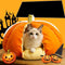 Pumpkin Cat Bed Cozy Soft Plush Cat Cave Bed Pet Nest