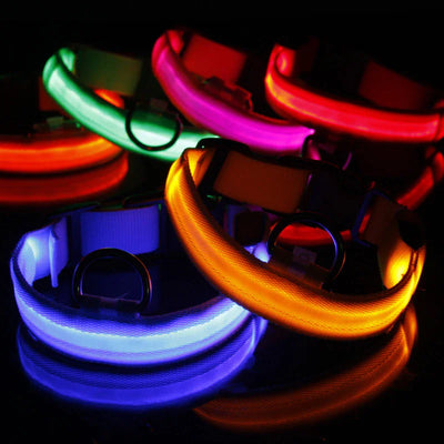 LED Dog Collar Adjustable Waterproof Blinking Safety Light For Pets