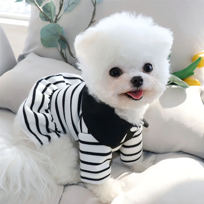 Striped Summer Dog Dress Soft Comfortable Stylish Outfit For Pups