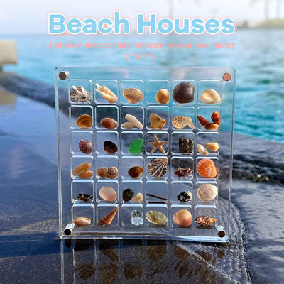 Acrylic Seashell Display Box With Magnetic Closure For Collections