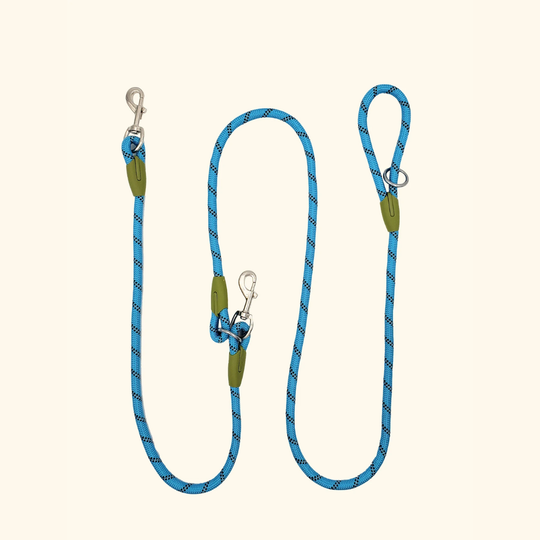 Adjustable Hands-Free Dog Leash For Running And Walking Comfort