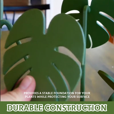 Plant Pots That Double As Coasters For Stylish Indoor Gardening