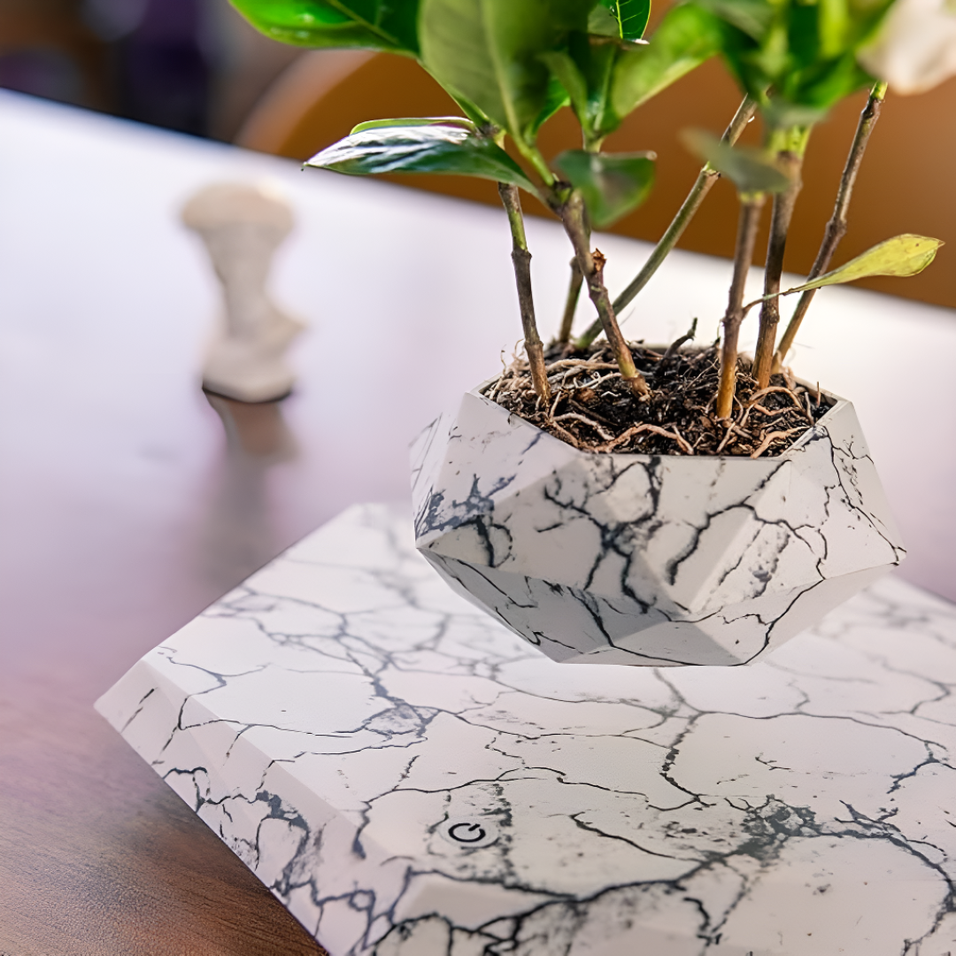 Magnetic Levitating Plant Pot Floating Air Bonsai Decor