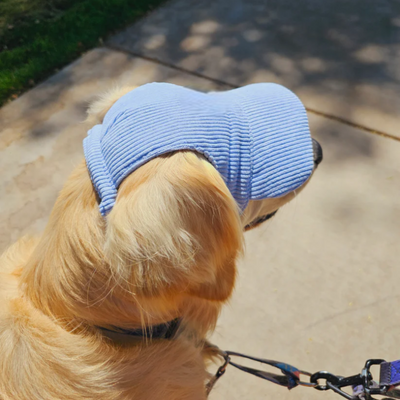 Dog Sun Hat Protective Lightweight Adjustable Summer Cap For Dogs