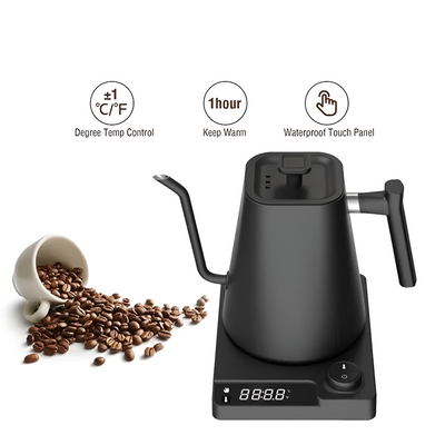 Gooseneck Electric Kettle With Precise Temperature Control