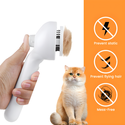 Pet Hair Remover Brush With Steam Cleaning Function