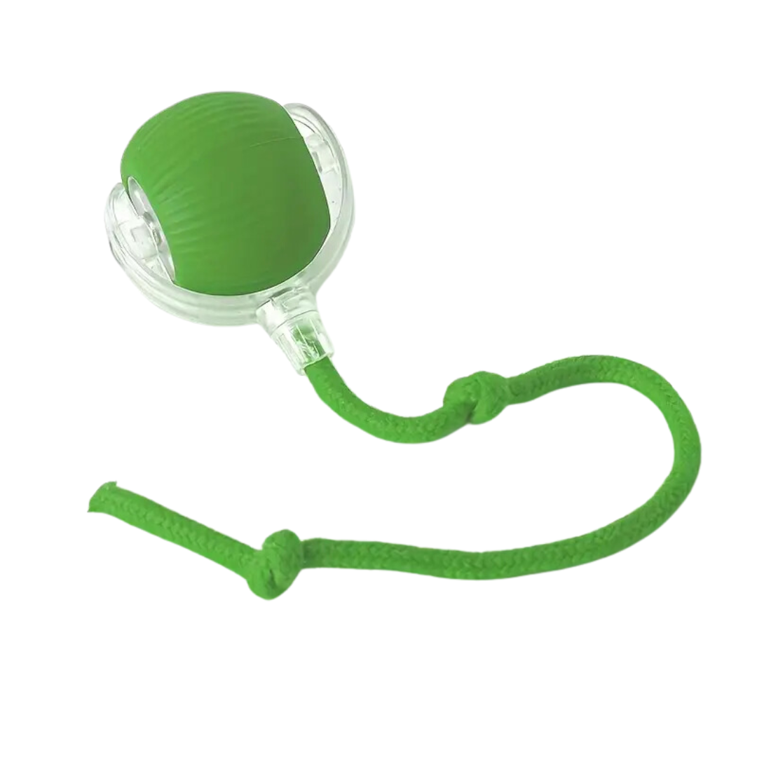 Interactive Cat Ball Toy For Active Play And Exercise