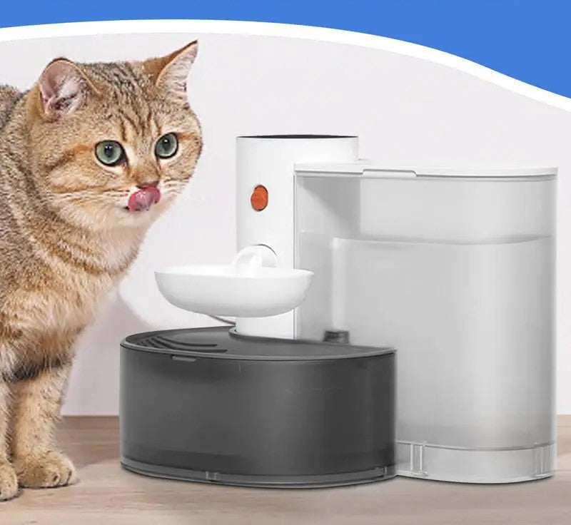 Wireless Pet Water Fountain 3L Ultra Quiet Automatic Hydration
