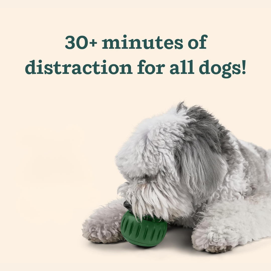 Durable Interactive Dog Chew Toy For Engaging Playtime