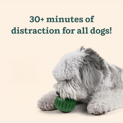 Durable Interactive Dog Chew Toy For Engaging Playtime