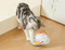 Interactive Cat Toy Butterfly With 3-Speed Motion And Ball For Kittens