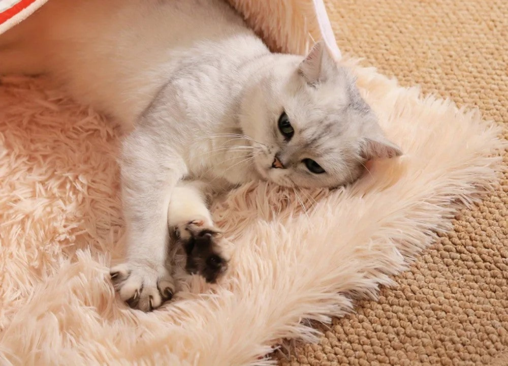 Cozy Cat Nest Bed Plush Soft Zippered House For Large Cats Dogs