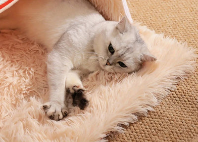 Cozy Cat Nest Bed Plush Soft Zippered House For Large Cats Dogs