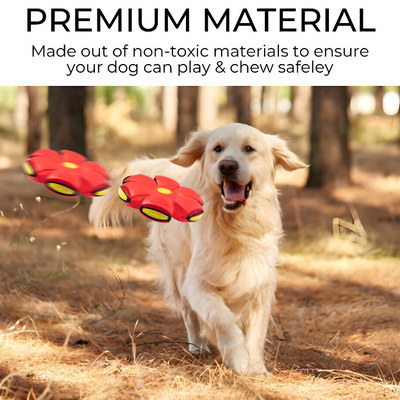 Dog Frisbee Durable Outdoor Fetch Toy For Active Dogs