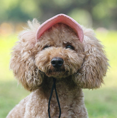 Outdoor Sun Protection Hood For Dogs Lightweight Breathable Pet Gear