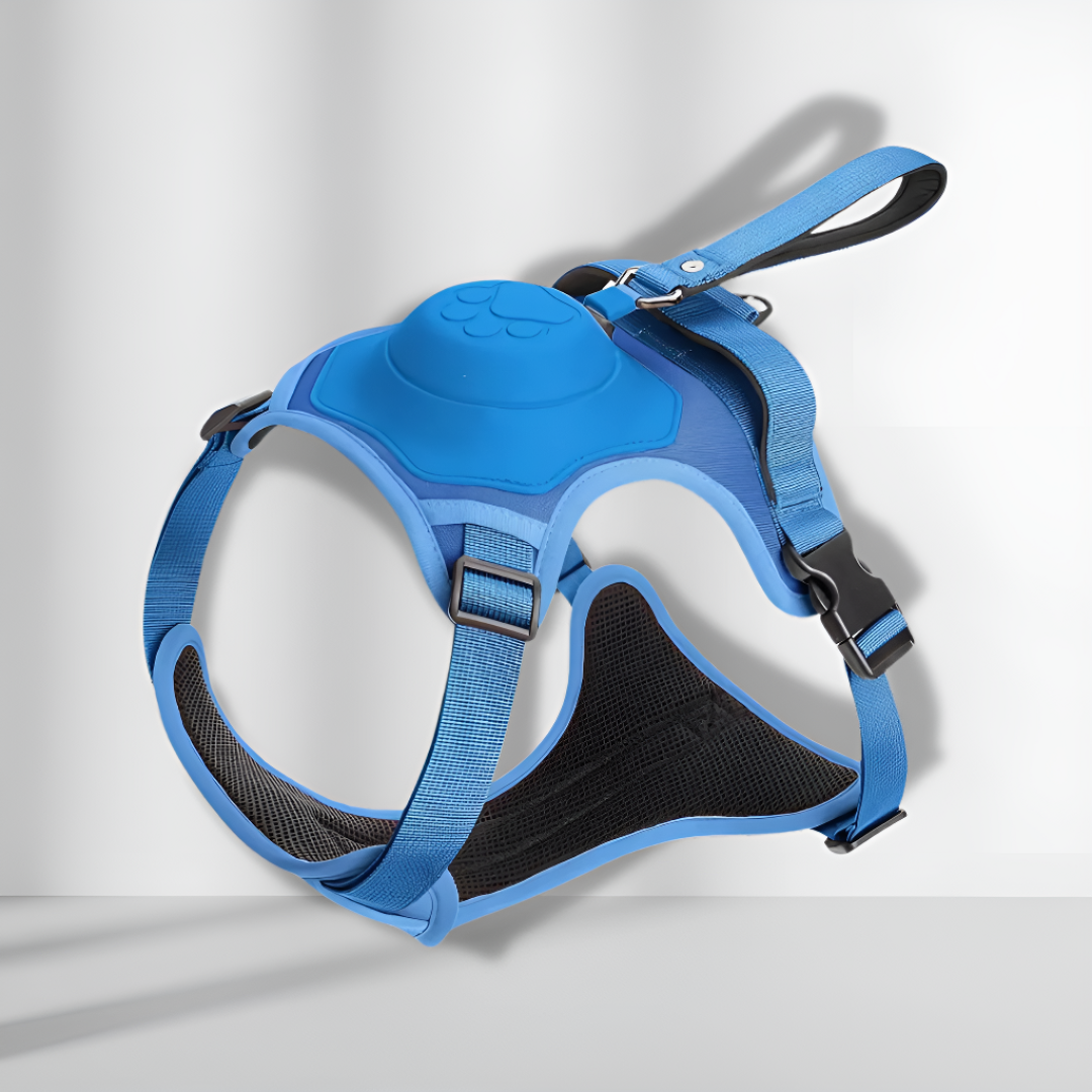 No-pull Dog Harness Adjustable Comfortable Walking Leash Set
