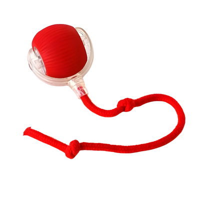 Interactive Cat Ball Toy For Active Play And Exercise