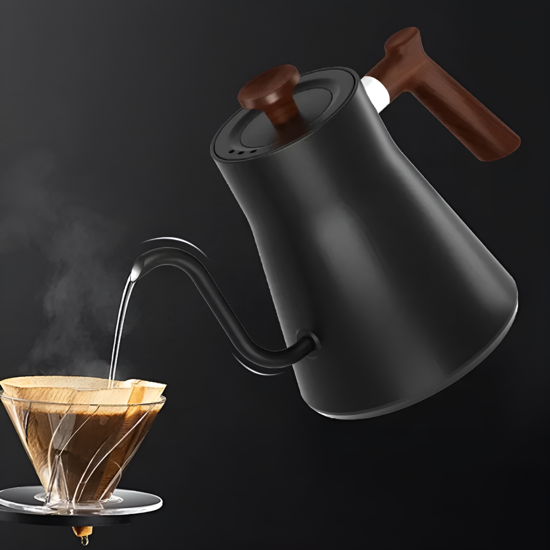 Gooseneck Electric Kettle With Precise Temperature Control