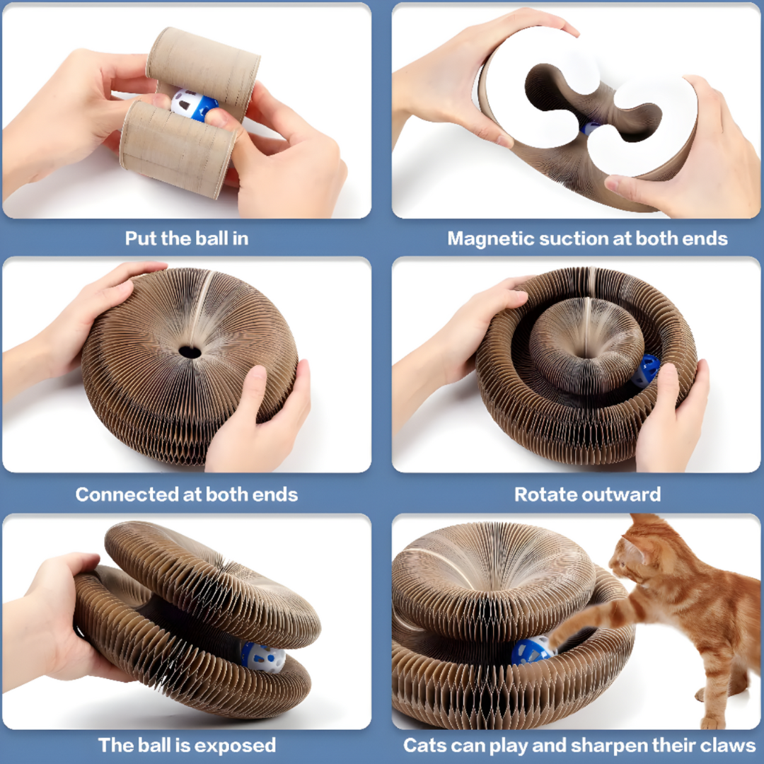 Interactive Cat Toy For Engaging Indoor Play And Exercise