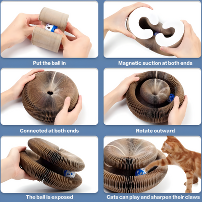 Interactive Cat Toy For Engaging Indoor Play And Exercise