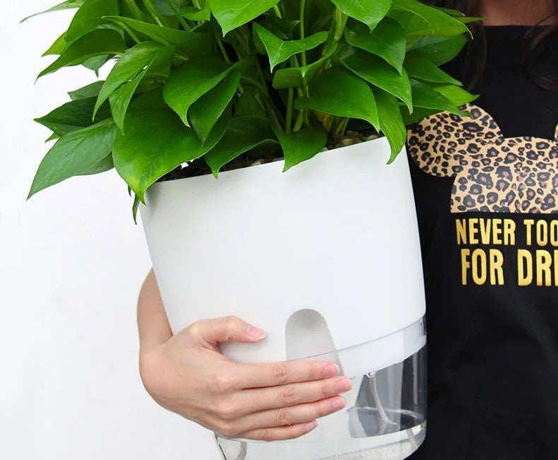 Self-Watering Planter Transparent Dual-Layer Flower Pot With Rope Irrigation