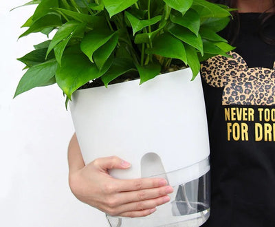Self-Watering Planter Transparent Dual-Layer Flower Pot With Rope Irrigation