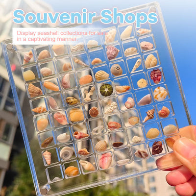 Acrylic Seashell Display Box With Magnetic Closure For Collections