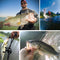 Lifelike Multi-Jointed Sinking Fishing Lure For Realistic Action