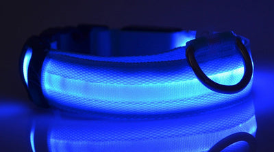 Nylon LED Dog Collar Adjustable Luminous Safety Glow Night Light
