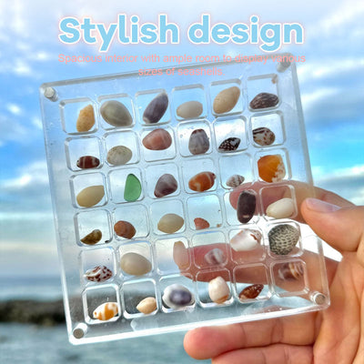 Acrylic Seashell Display Box With Magnetic Closure For Collections