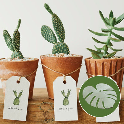 Plant Pots That Double As Coasters For Stylish Indoor Gardening