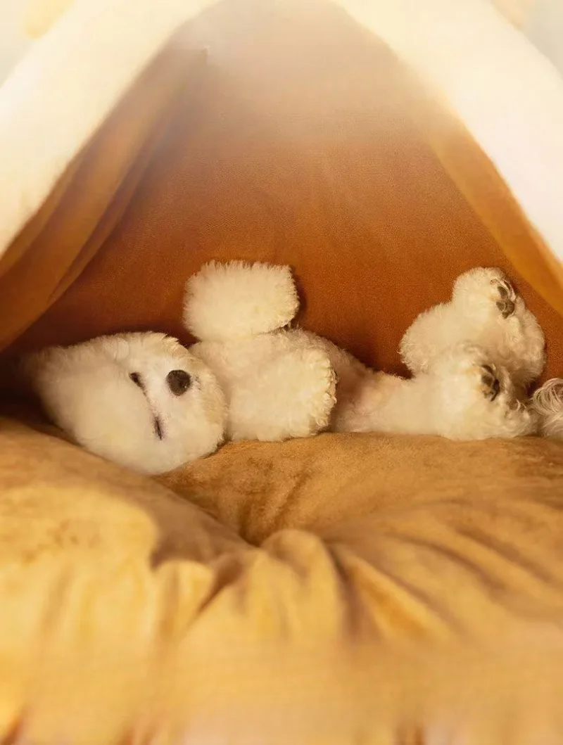 Triangle Pet Tent Bed With Plush Mattress For Dogs And Cats