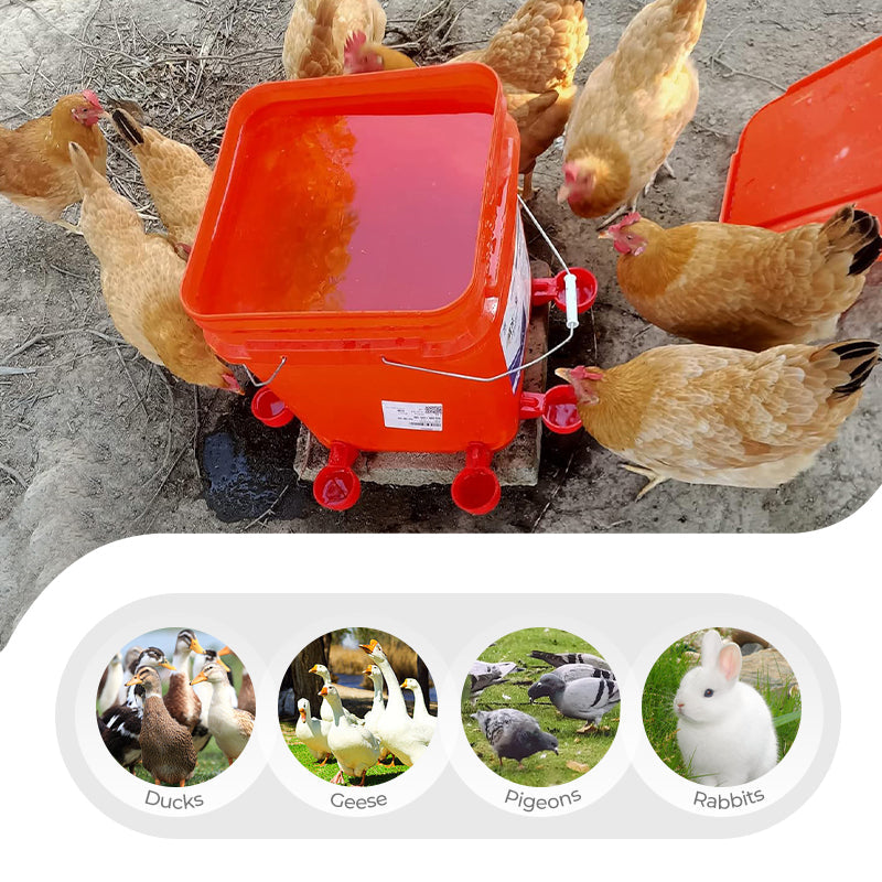 5/16 Inch Thread Automatic Poultry Water Cups Durable Farm Use