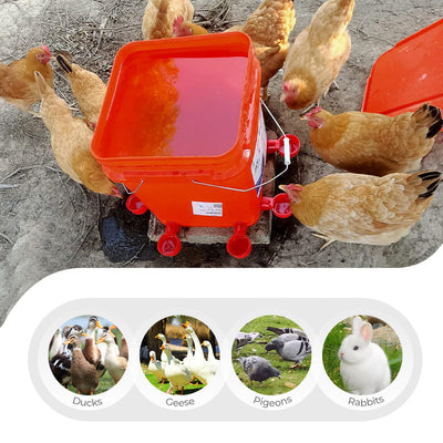 5/16 Inch Thread Automatic Poultry Water Cups Durable Farm Use